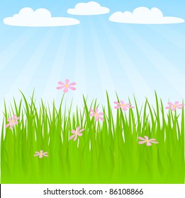 Spring background with grass and flowers.