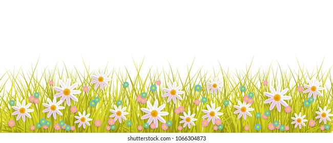 Spring background with grass and flowers border on white backdrop with empty space for text - greeting card decoration element for Easter congratulation. Cartoon vector illustration.