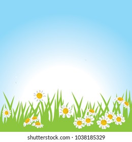 spring background, grass, sky and daises
