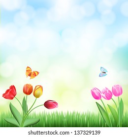 spring background with grass,tulips and butterflies