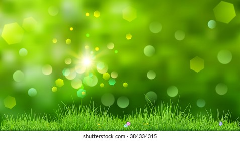 Spring background in green colors with sky, sun, grass and flowers