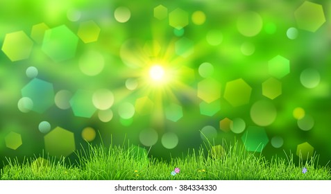 Spring background in green colors with sky, sun, grass, and flowers