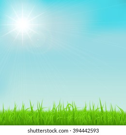 Spring background with green early spring grass on blurred soft background. Grassland blurred background with sun rays on blue clear sky. Vector illustration.