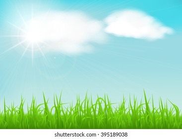 Spring background with green early spring grass on blurred soft background. Grassland blurred background with sun rays on blue cloudy sky. Vector illustration.