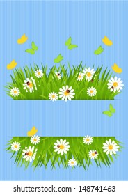 spring background with green grass, butterflies and ladybugs