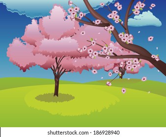 Spring background with green grass field and sakura in bloom.