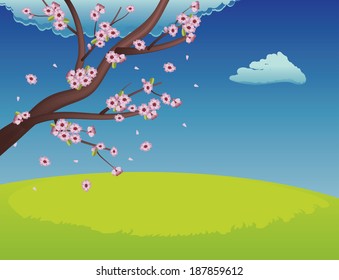 Spring background with green grass field and sakura in bloom.