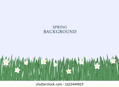 Spring background with green grass, flowers and blue sky.