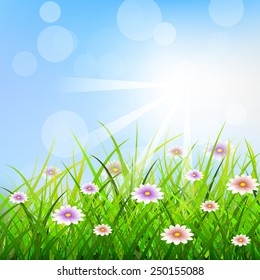 Spring background with green grass, flowers and sunlight/vector illustration