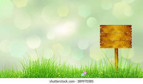 Spring background with green grass, flowers and wooden pointer