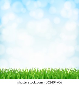 spring background with green grass and sky. vector