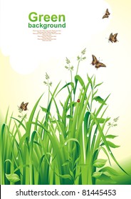 Spring background.  Green grass. Vector illustration.