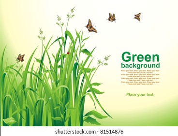 Spring background. Green grass. Vector illustration.