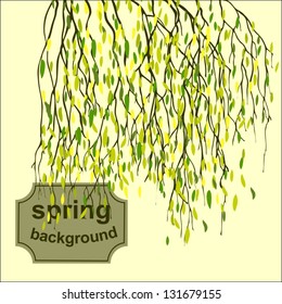 Spring background with green leaf, birch branches. Vector illustration.