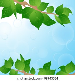Spring background with green leaves