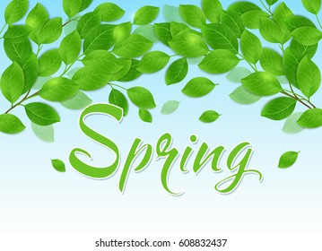 Spring background with green leaves and blue sky