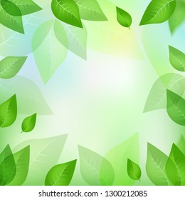 Spring background, green leaves frame
