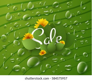 Spring background with green leaves and morning dew. Vector eps10. svg