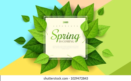 Spring background with green leaves and square frame on trendy geometric backdrop. Vector illustration. Fresh template design for posters, flyers, brochures or vouchers.