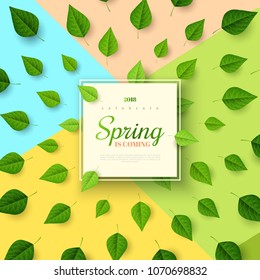 Spring background with green leaves and square frame on trendy geometric backdrop. Vector illustration. 