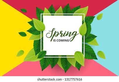 Spring background with green leaves and square frame