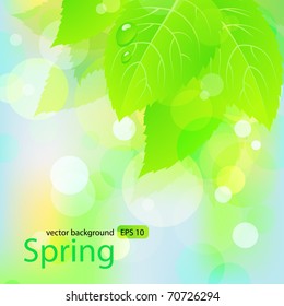 Spring  background  with green leaves. Vector EPS 10