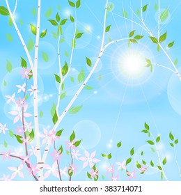 spring background - green trees, pink flowers and sun on blue sky background, vector illustration