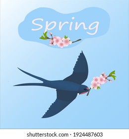Spring background, greeting card with a swallow flying in the sky with a twig of blooming apple tree. Vector illustration.