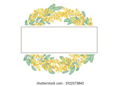 spring background illustration, mimosa flower