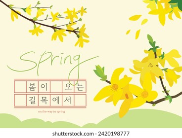 Spring background illustration with yellow forsythia in bloom