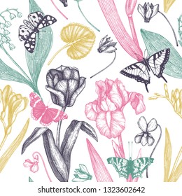 Spring background with insects and flowers drawings. Hand drawn botanical elements. Floral seamless pattern.  High detailed engraved butterflies. Perfect for banner design, textile, wrapping paper.