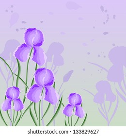 spring background with irises, a global color
