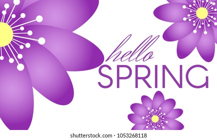 Spring Background with Isolated Flowers in Minimal Style. Vector Snowdrops or Daisies. Beautiful Template with Text for Card, Invitation, Brochure, Banner, Flyers, Creative Design. Flowering.