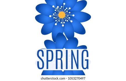 Spring Background with Isolated Flowers in Minimal Style. Vector Snowdrops. Beautiful Background with Text for Card, Invitation, Brochure, Banner, Flyers, Creative Design. Flowering.