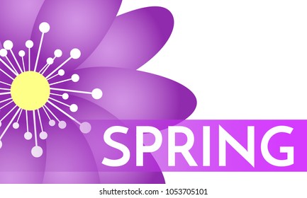 Spring Background with Isolated Flowers in Minimal Style. Vector Snowdrops or Daisies. Beautiful Template with Text for Card, Invitation, Brochure, Banner, Flyers, Creative Design. Flowering.
