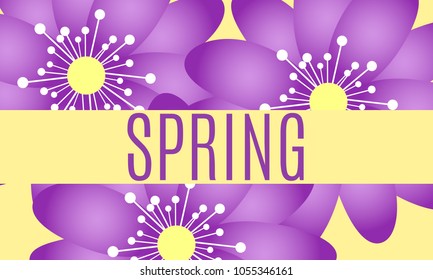 Spring Background with Isolated Flowers in Minimal Style. Vector Snowdrops or Daisies. Beautiful Template with Text for Card, Invitation, Brochure, Banner, Flyers, Creative Design. Flowering.