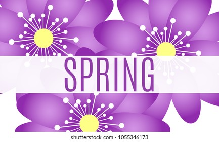 Spring Background with Isolated Flowers in Minimal Style. Vector Snowdrops or Daisies. Beautiful Template with Text for Card, Invitation, Brochure, Banner, Flyers, Creative Design. Flowering.