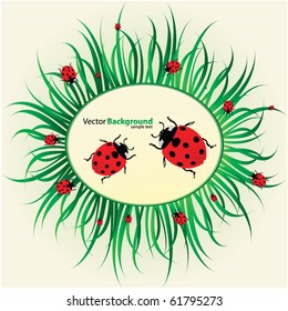 Spring background with ladybirds