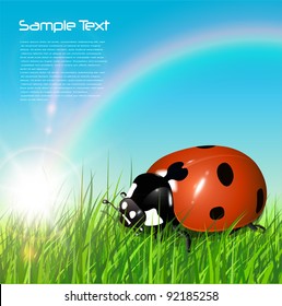 Fondo de primavera con ladybug, sol y arco iris, vector.