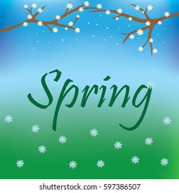 Spring background with leaf