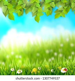 Spring background. Leaves and grass with flowers in front of a sunny meadow. Place for text