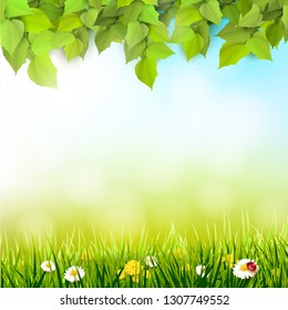 Spring background. Leaves and grass with flowers in front of a sunny meadow. Place for text