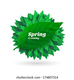 Spring background with leaves. Vector illustration 