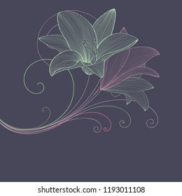 Spring background with lily flowers.