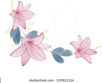 Spring background with lily flowers.