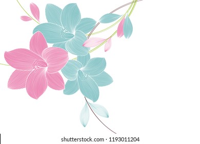Spring background with lily flowers.