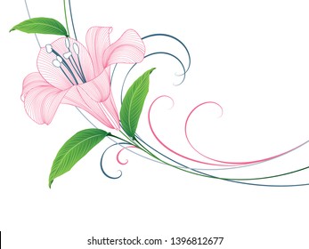 Spring background with lily flowers.