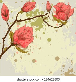 Spring background with magnolia flowers