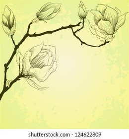 Spring background and magnolia flowers