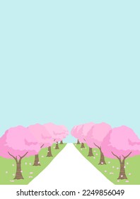 Spring background material with cherry blossom tree avenue
